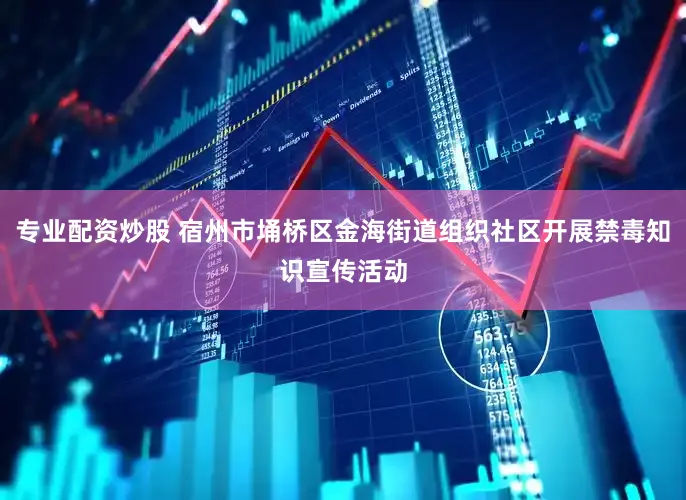 专业配资炒股 宿州市埇桥区金海街道组织社区开展禁毒知识宣传活动