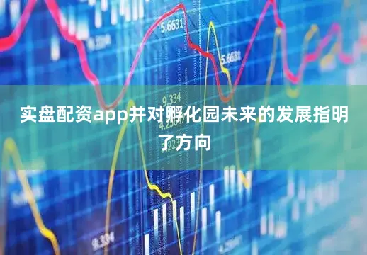 实盘配资app并对孵化园未来的发展指明了方向
