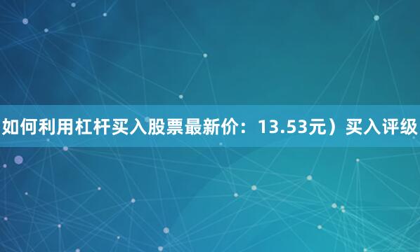如何利用杠杆买入股票最新价：13.53元）买入评级